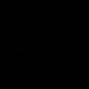 Meet your Posher, Jasmin